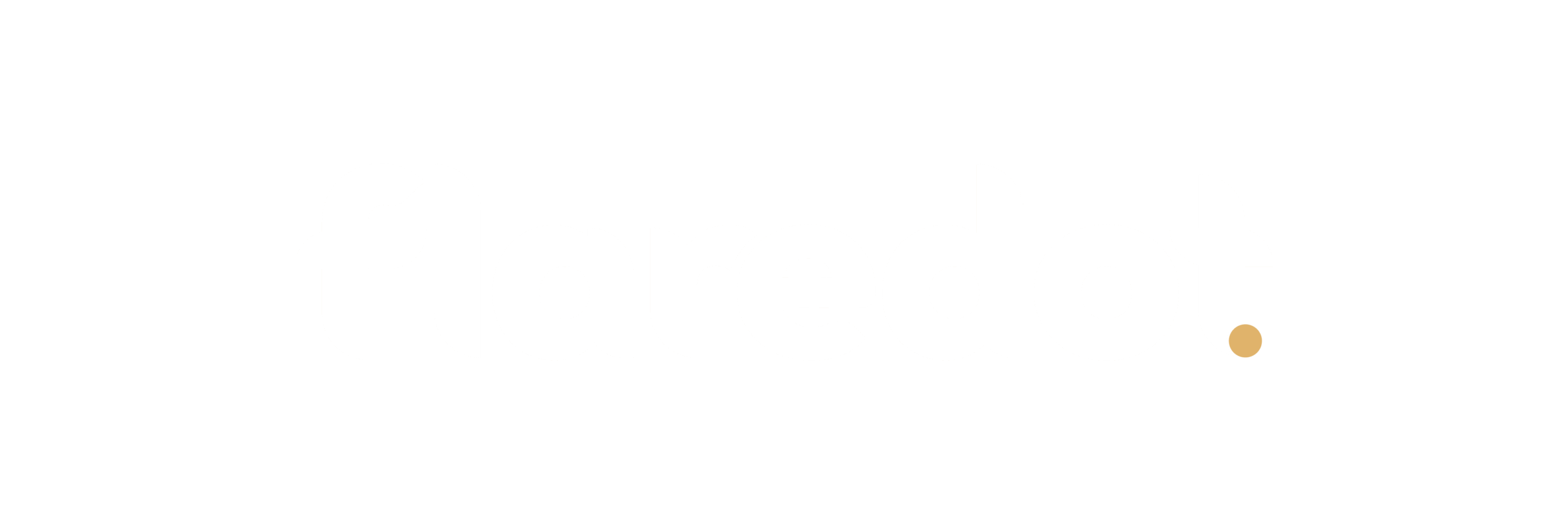 Flaredot Logo White